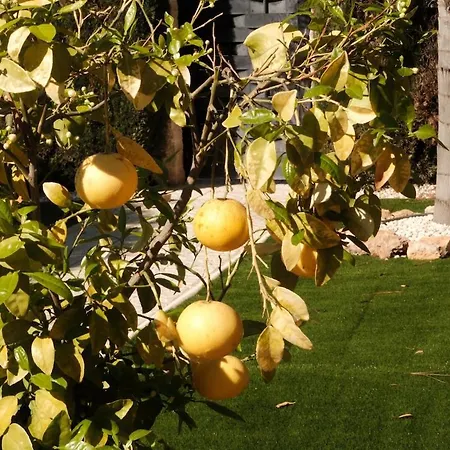 Tulita, Costa Blanca